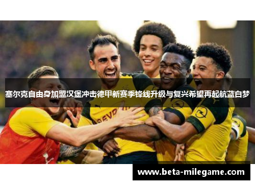 塞尔克自由身加盟汉堡冲击德甲新赛季锋线升级与复兴希望再起航蓝白梦