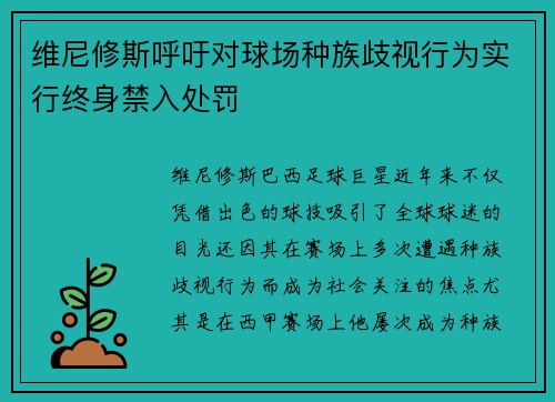 维尼修斯呼吁对球场种族歧视行为实行终身禁入处罚